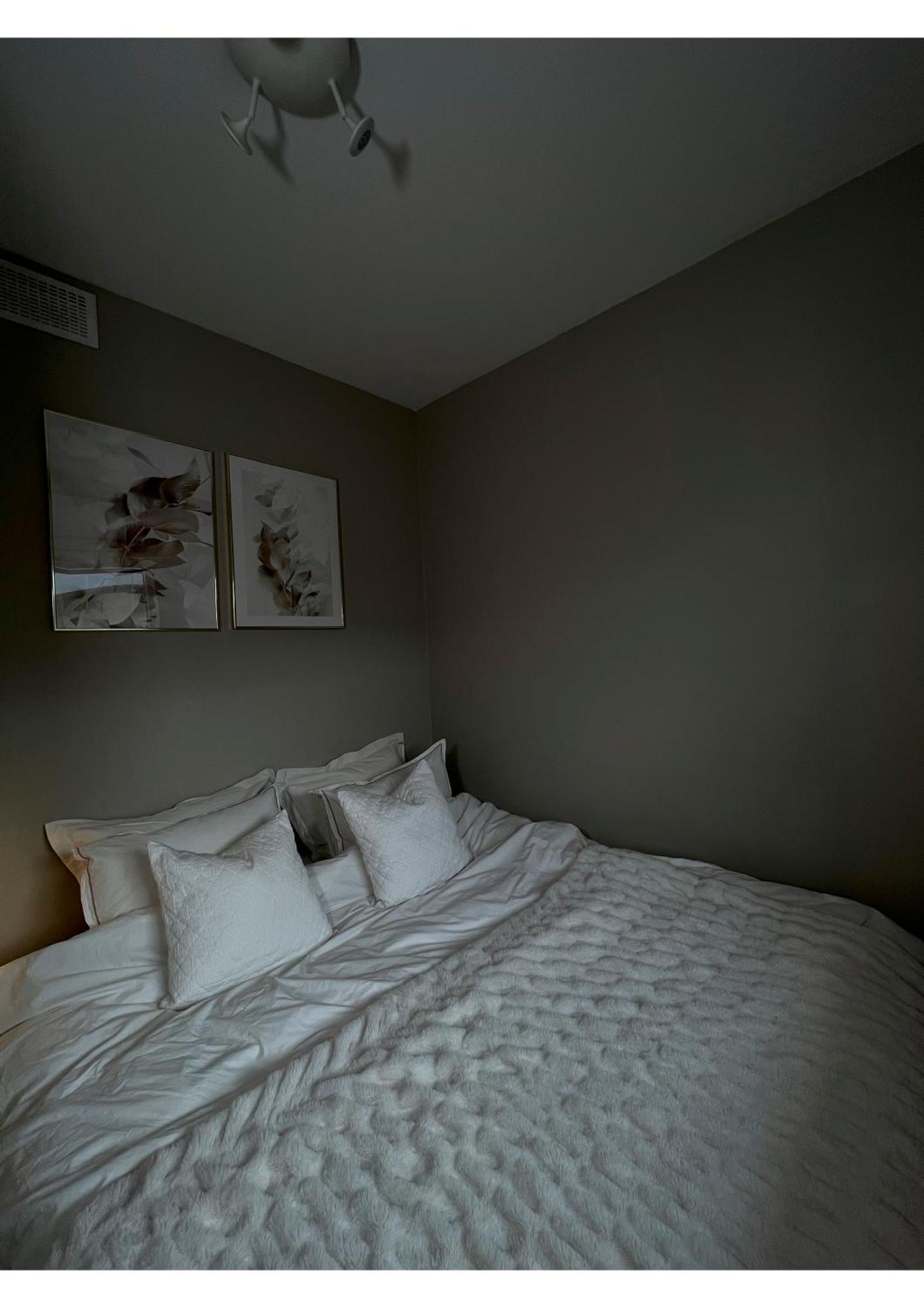 Penthouse In Centre Trondheim