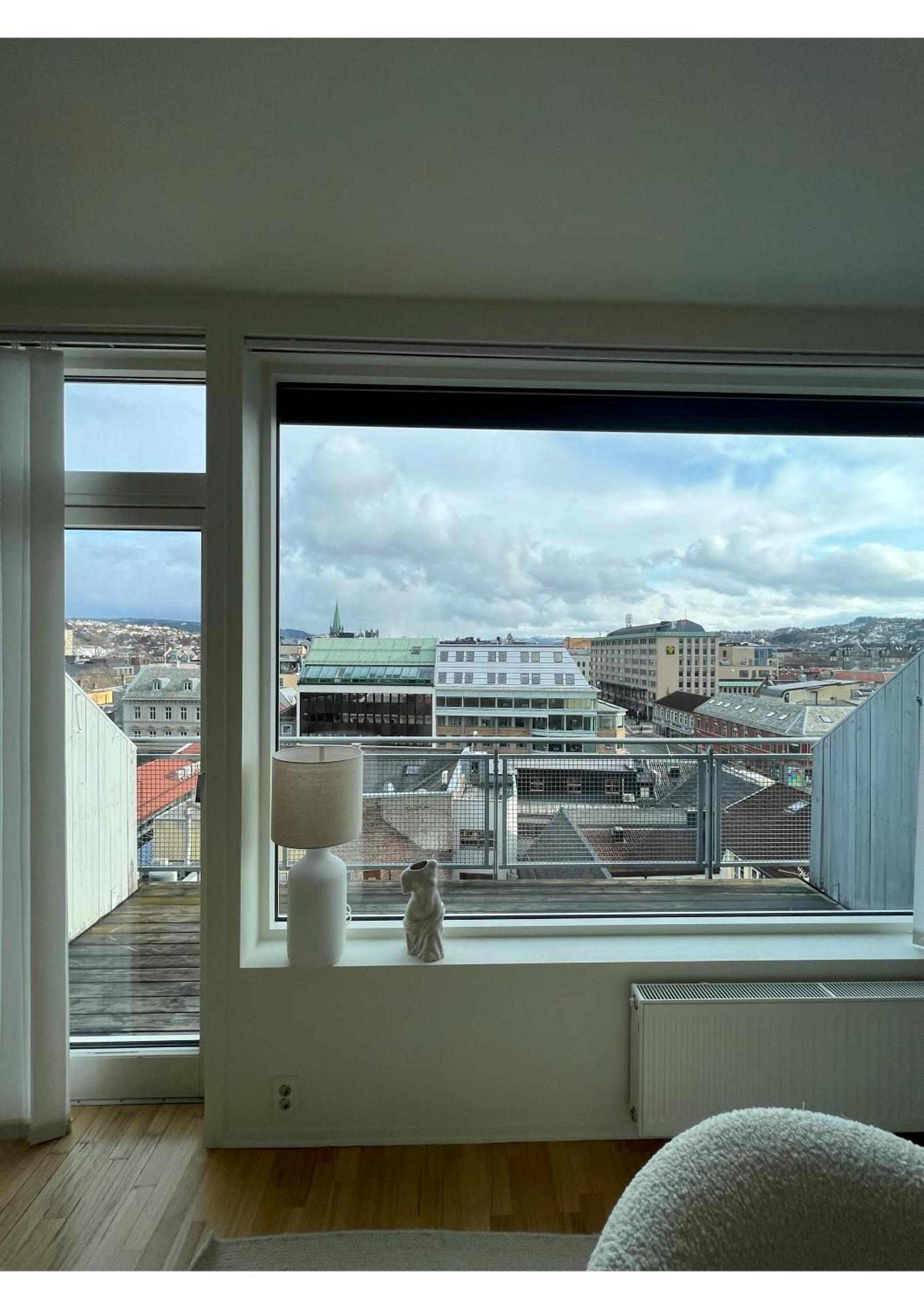 Penthouse In Centre Trondheim